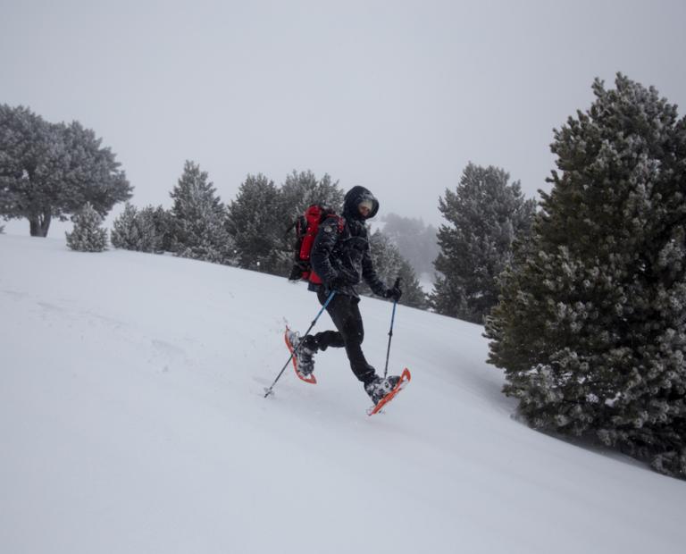 Randonnée en raquettes sur les Hauts plateaux  ©Tordeur