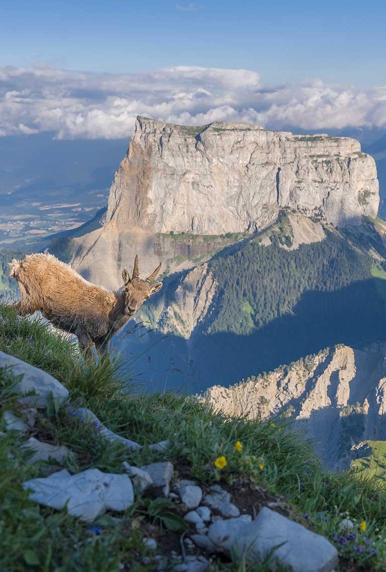 Réserve naturelle des hauts plateaux du Vercors