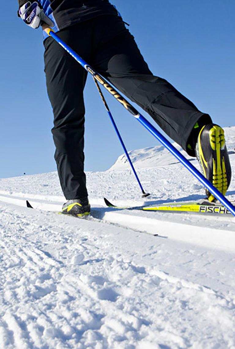 Ski de fond dans le Vercors ©P.Soissons