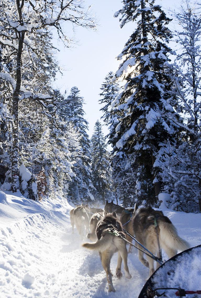 Activités nordiques dans le Vercors 