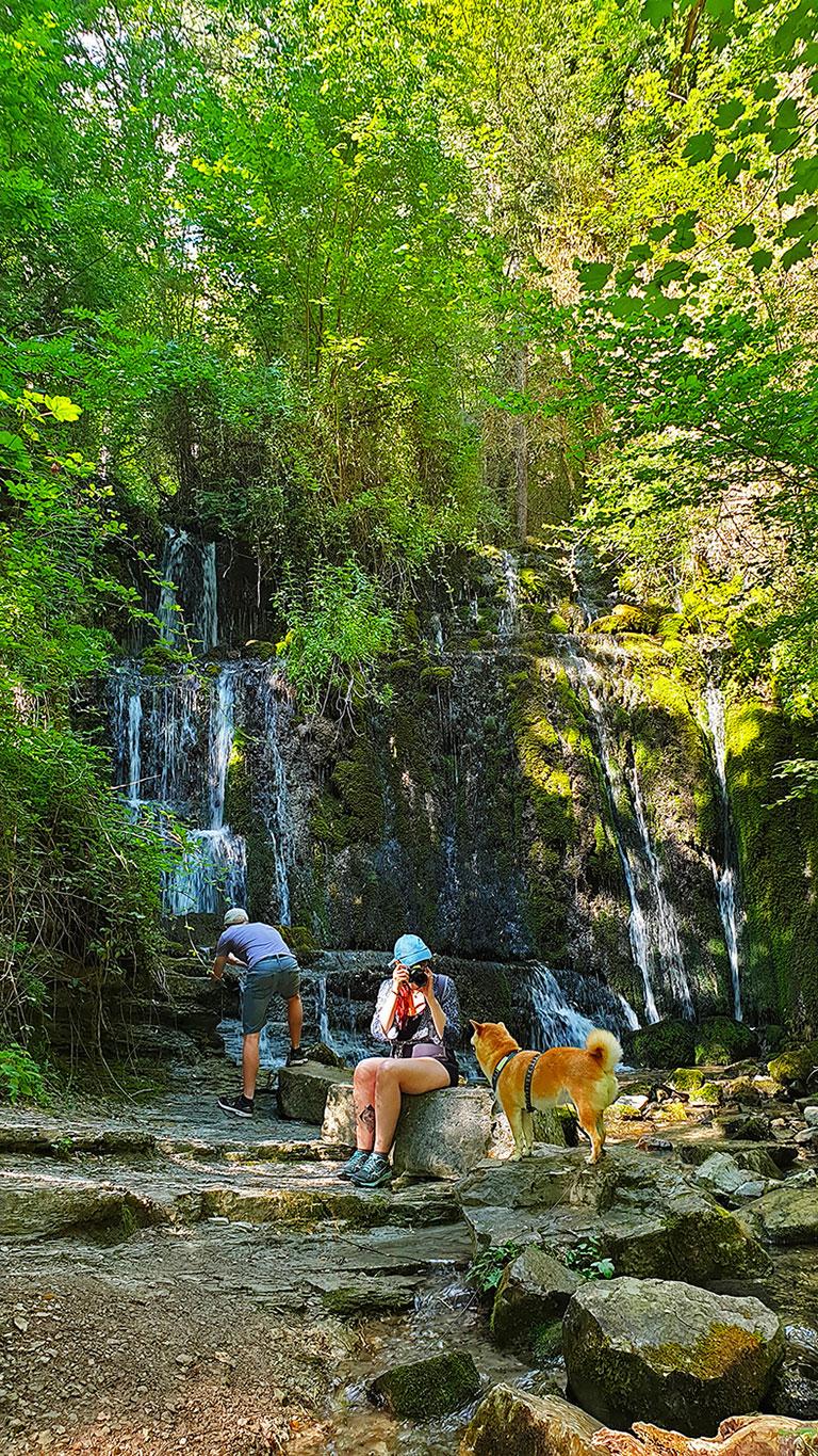 Forêt Giono ©OT Pays Diois – Ludivine Marcon Forêt Giono