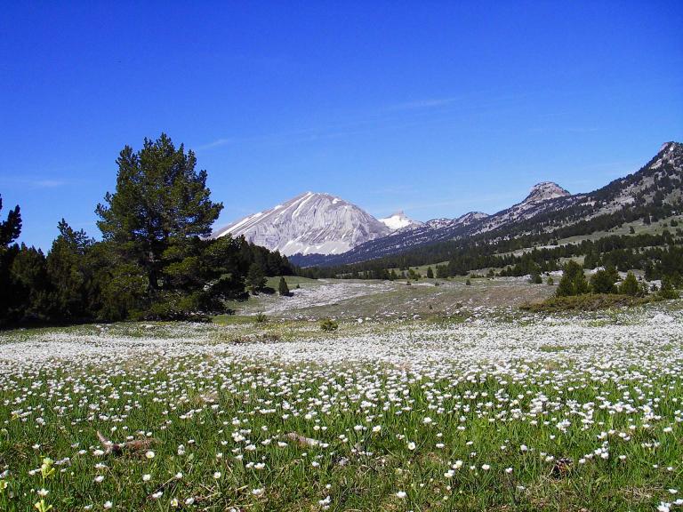 Reserve naturelle des hauts plateaux