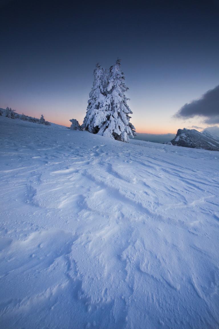 Neige dans le Vercors ©Booth