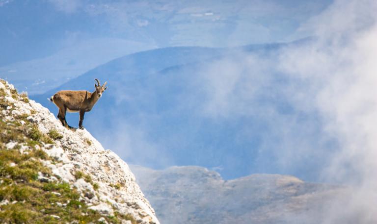 Parc Naturel Regional du Vercors cLionel Pascale