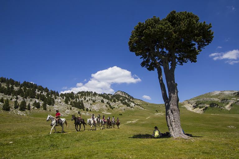 Parc naturel régional du Vercors