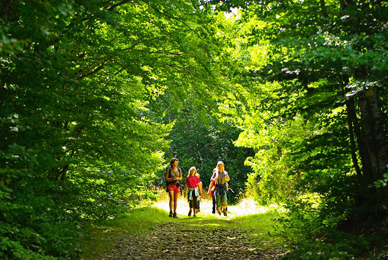 Randonnée dans les Coulmes Vinay - Vercors 