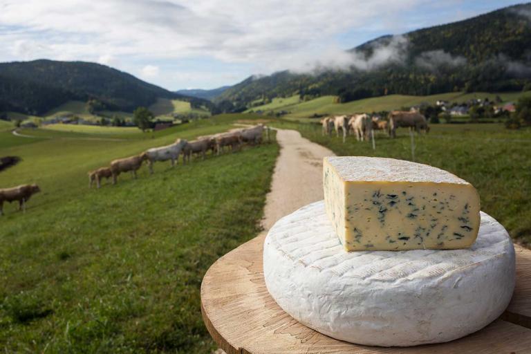 Bleu du Vercors ©Lucie Moraillon