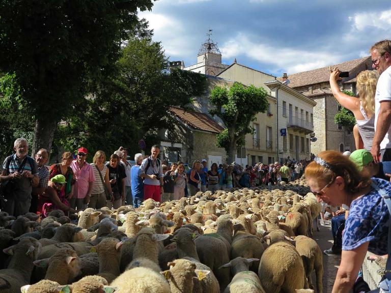 Fête de la transhumance ©Alpe en alpe mir