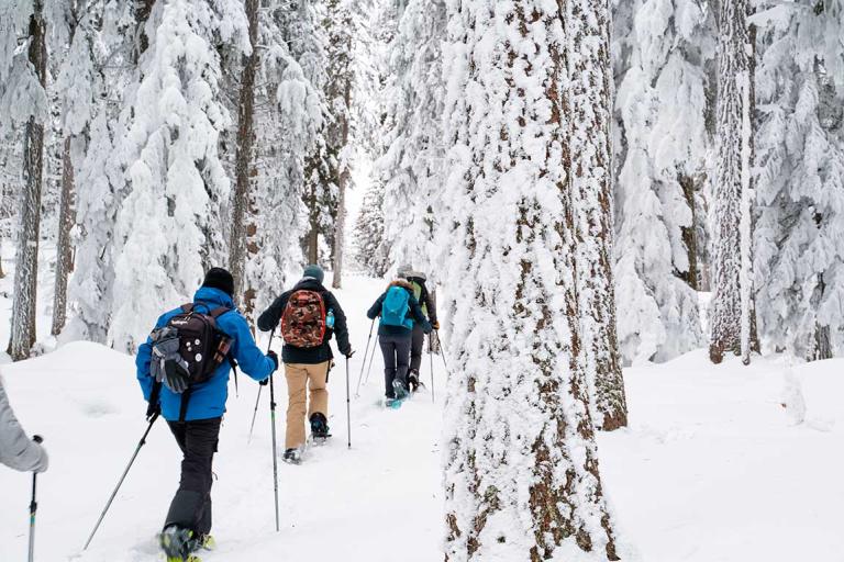 Raquette à neige dans le Vercors