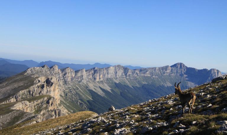 Au sommet du Grand-Veymont