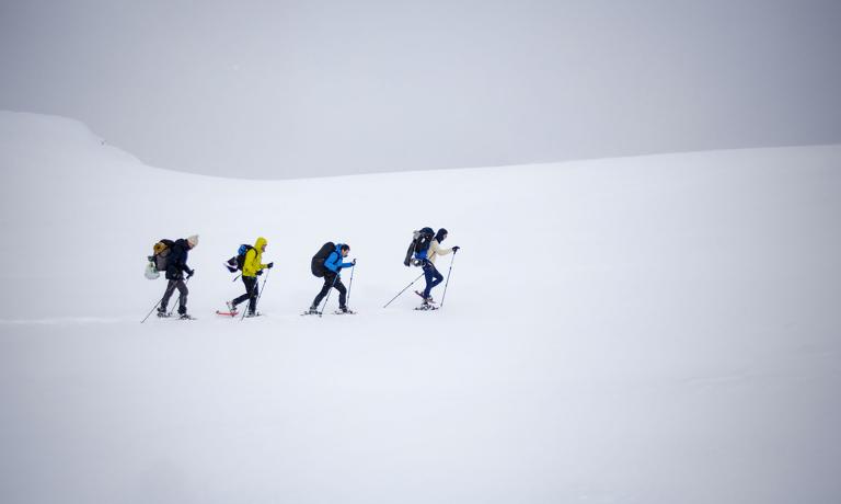 Les hauts plateaux en raquette  ©Mathieu Tordeur