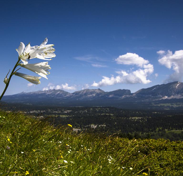 A regional natural park