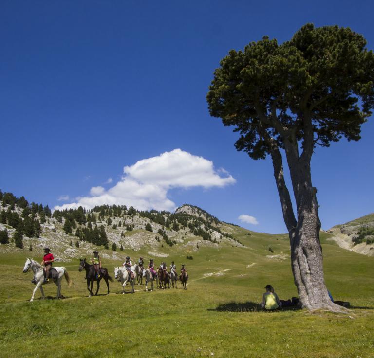 Balade à cheval sur les Hauts plateaux du Vercors cBooth