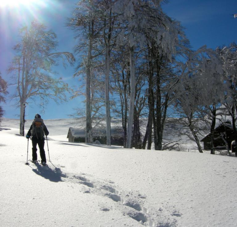 Tréminis | Inspiration Vercors