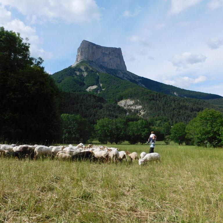 Le Mont-Aiguille depuis Chichilianne