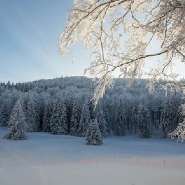 Les Coulmes sous la neige