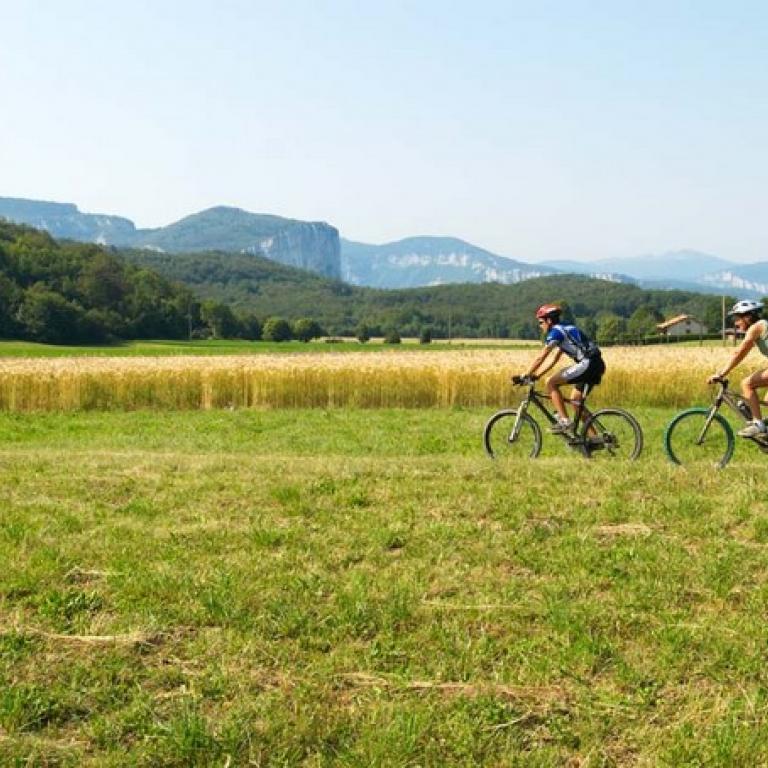 VTT dans le Vercors