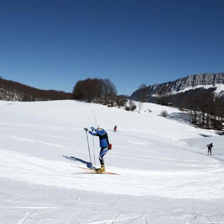 Ski de fond dans les Coulmes