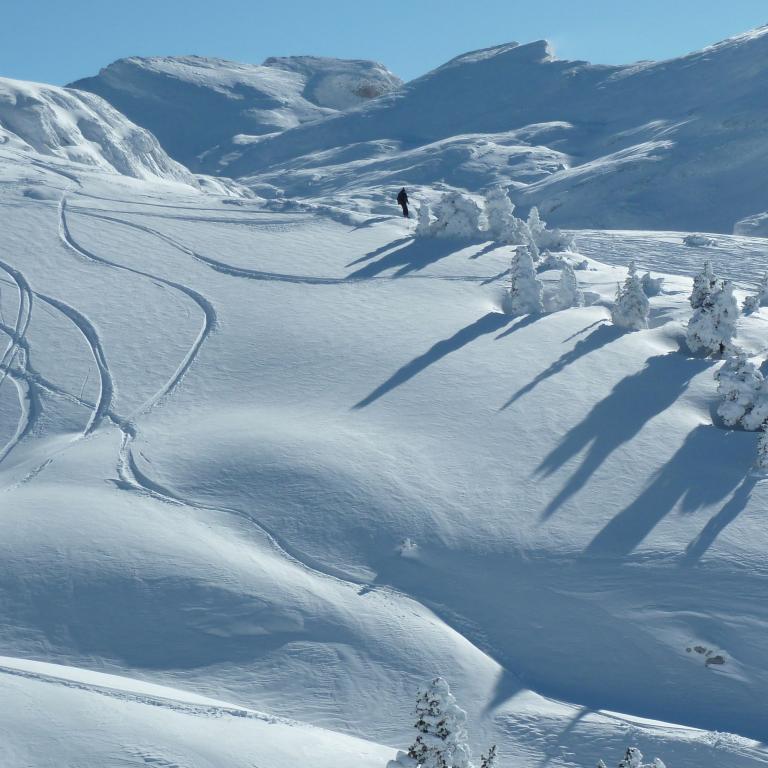 Ski à Villard de Lans ©SCharles